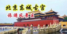 美女脱衣自慰视频中国北京-东城古宫旅游风景区